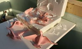 Oiseaux décoratif/symbole de paix,d`espérance et d`amour 8st